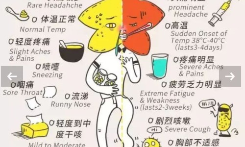 咽喉中药配方大全-治疗咽喉的中药处方药-咽喉中药配方大全,中国治疗咽喉的中药处方网站